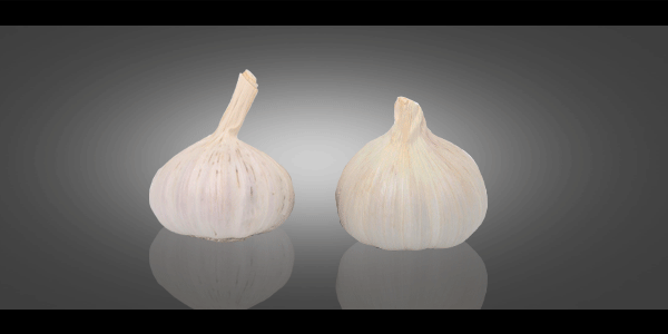 The Benefits of Eating Raw Garlic